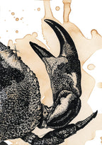 Affiche « Surprise et profondeur du Crabe Café »