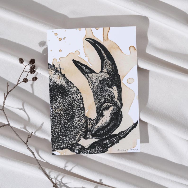 Affiche « Surprise et profondeur du Crabe Café »