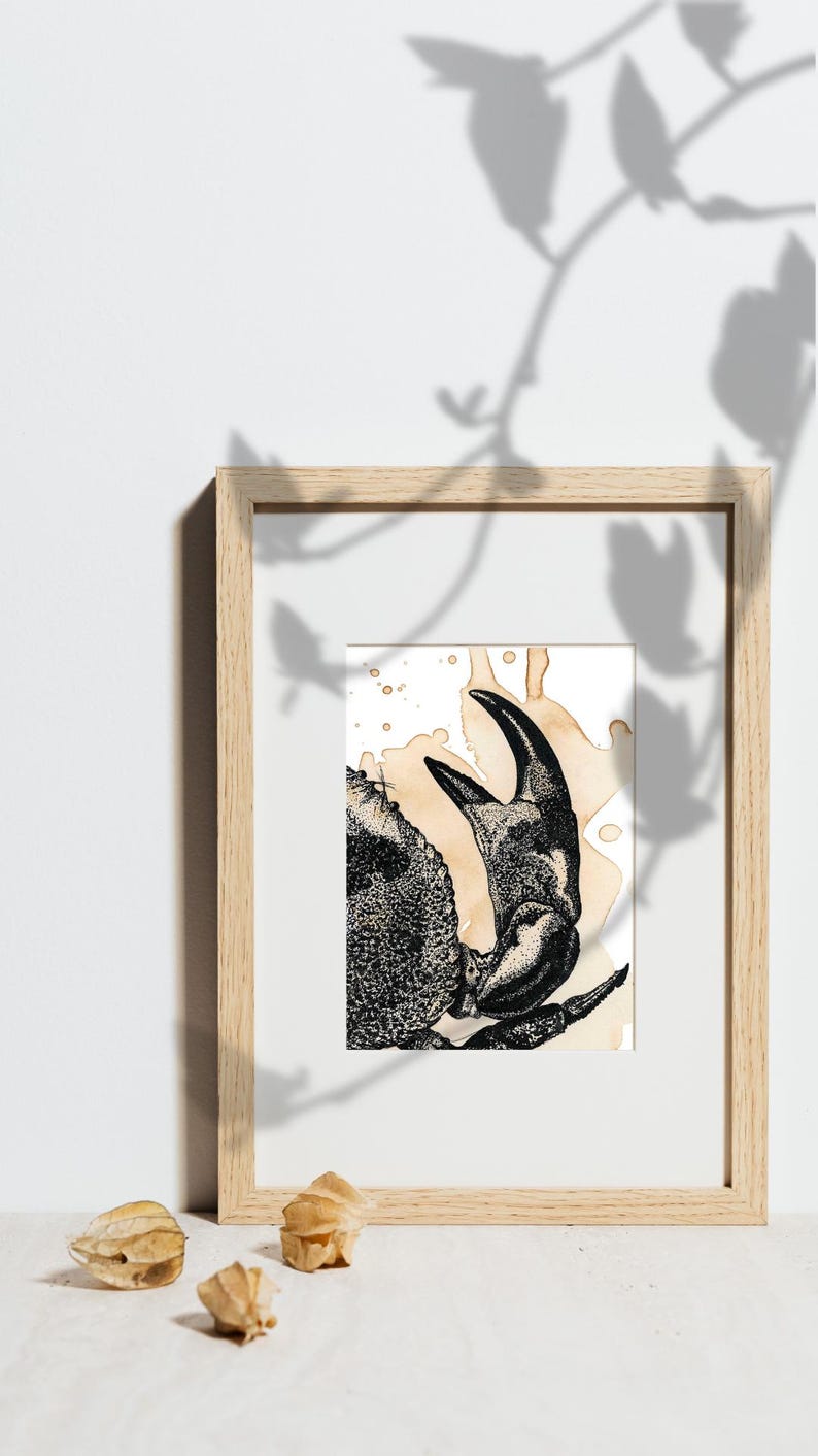 Affiche « Surprise et profondeur du Crabe Café »