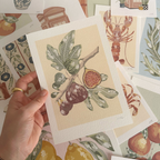 Affiche Les figues