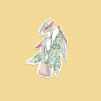 Stickers : La plante