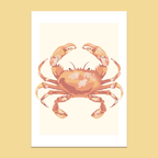 Affiche Le crabe