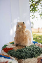 Peluche Alpaga 23 cm - Carlos