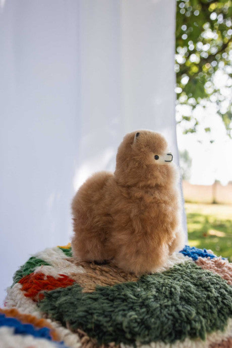 Peluche Alpaga 23 cm - Guillermo
