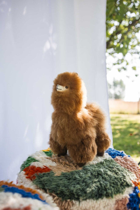 Peluche Alpaga 33 cm - José