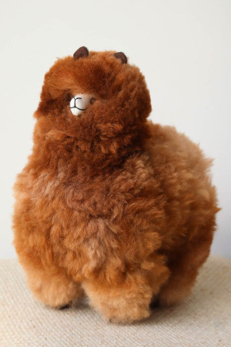 peluche alpaga marron nommée José