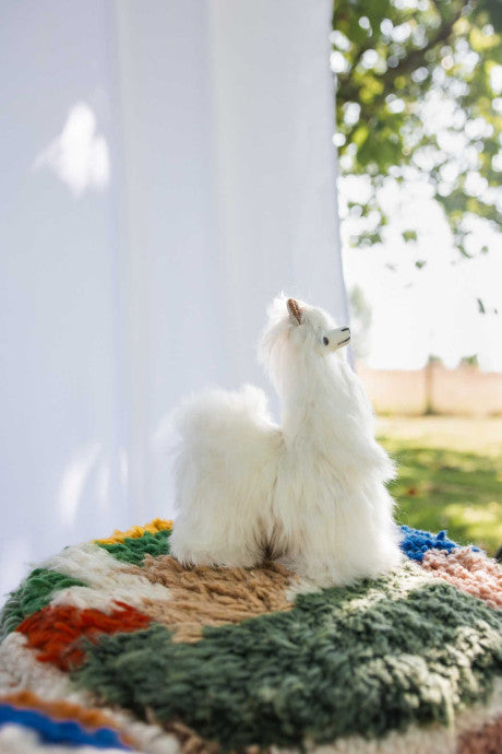 Peluche Alpaga 23 cm - Raùl