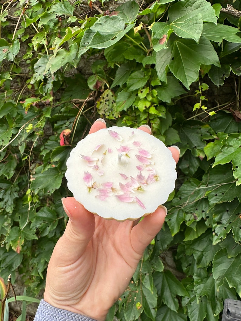 a person holding a pink pink and white flower 